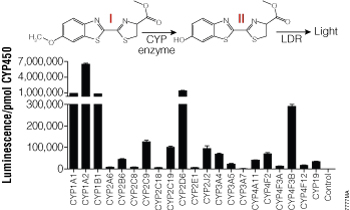 Activity of CYP enzymes with Luciferin-MultiCYP substrate.