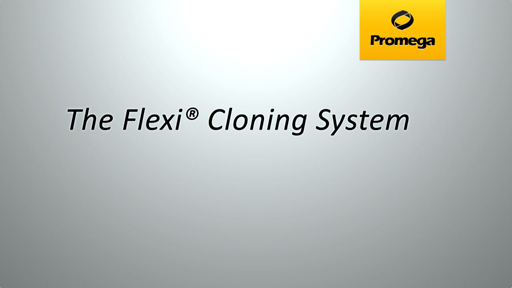 Flexi® Cloning System