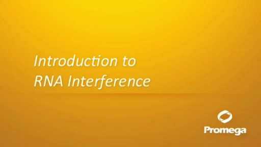 Introduction to RNA Interference