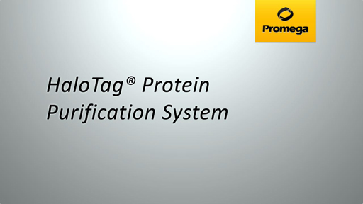 HaloTag® Protein Purification System