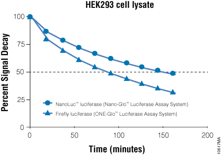 Nano-Glo® Luciferase Assay System