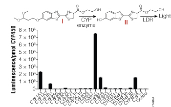 CYP enzyme selectivity for the Luciferin-2J2/4F12 substrate.