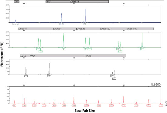 StemElite ID System electropherogram for the H9 human embryonic stem cell line.
