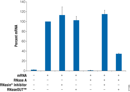 Comparison of RNasin&reg; Ribonuclease Inhibitor and RNaseOUT&trade; inhibition of RNase A during qRT-PCR.