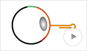 RNA Interference Animation Thumbnail