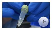 pGEM-T Vector System Video Thumbnail