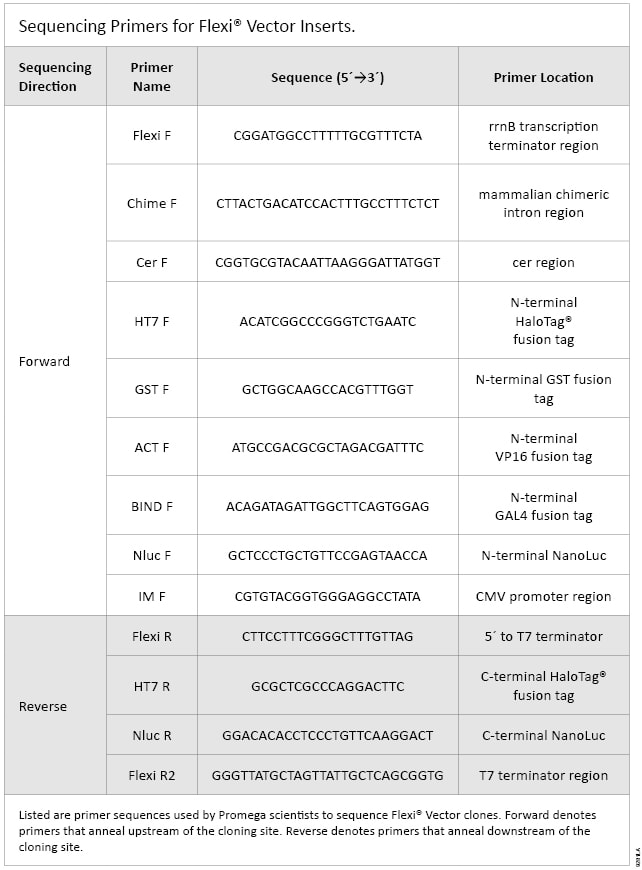 Sequencing Primers for Flexi Vector Inserts