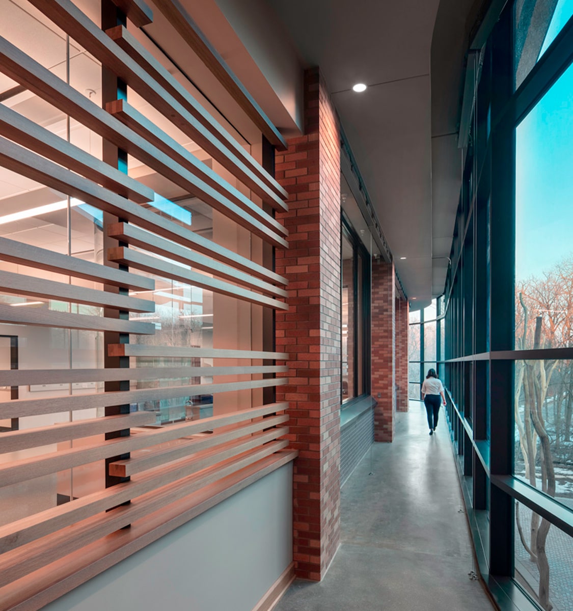 246319134-promega-kornberg-9035-cnp-min