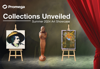artshow-slider-summer-2024-press-release