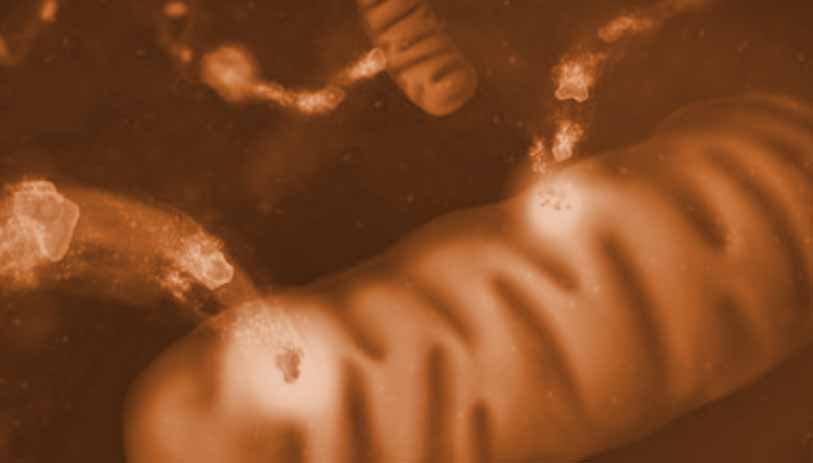 cancers need for metabolites