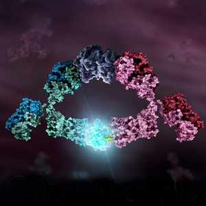 Lumit Immunoassay imagery in front of purple background. 