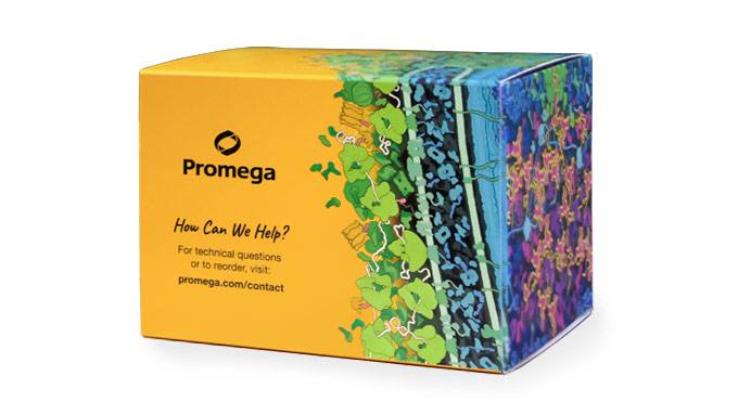 Maxwell® RSC Xcelerate DNA FFPE Kit