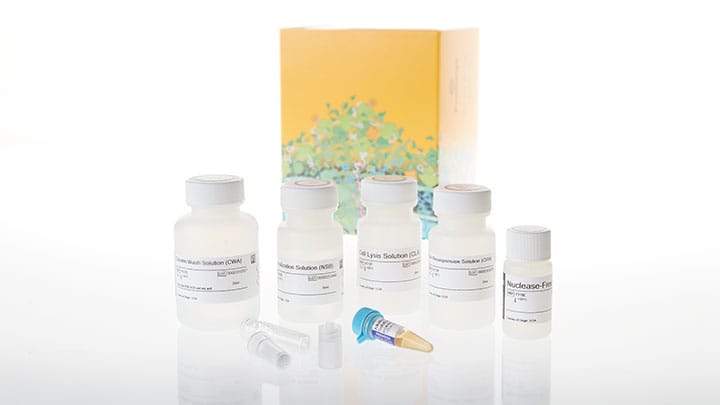 Wizard® Plus SV Minipreps Start-Up Kit