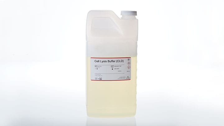 A1731-cell-lysis-buffer-cld
