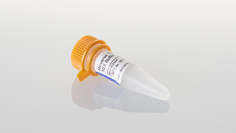 Reverse Transcription 10X Buffer 1.4ml