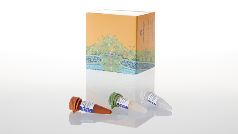 GoTaq qPCR Master Mix 1ml