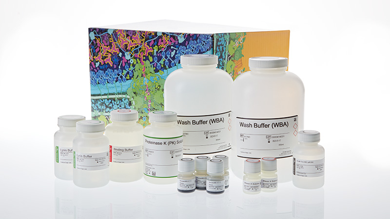 Maxwell® HT Fecal Microbiome DNA Kit | High-Throughput Automated