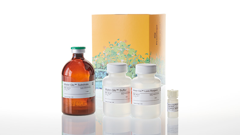 AM1003_Water-Glo-96-Reagents-Aqueous_3