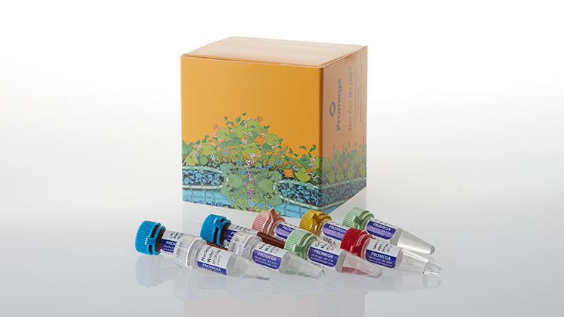 am2160-gotaq-enviro-wastewater-sars-cov-2-system-e-n2-3