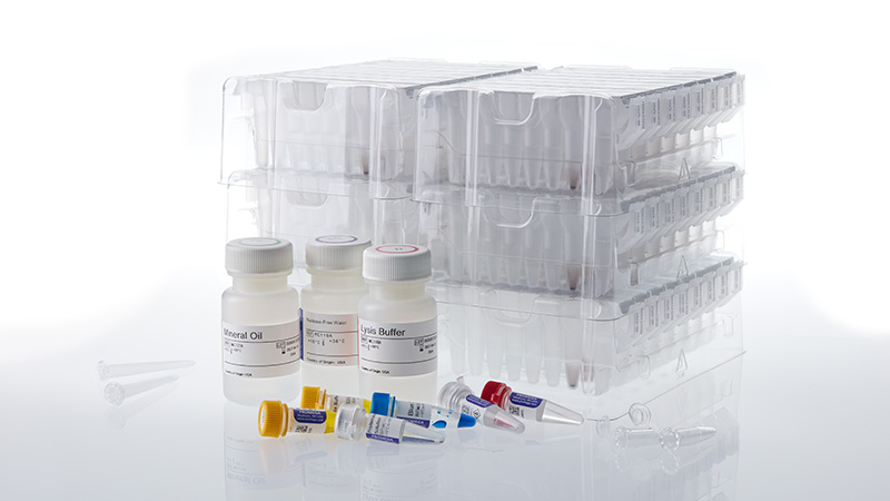 as1510-maxwell-rsc-xcelerate-