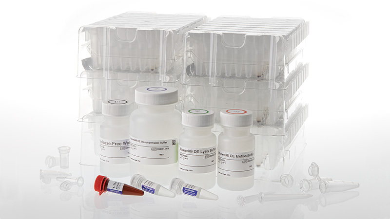 as1870-maxwell-de-system