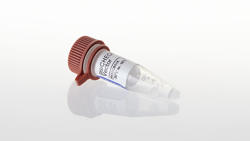 GENERAI 確認用 psiCHECK™-2 Vector | RNAi Assay