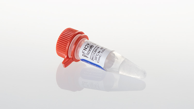 C8471_pFN2K--GST--Flexi--Vector--20ug_3