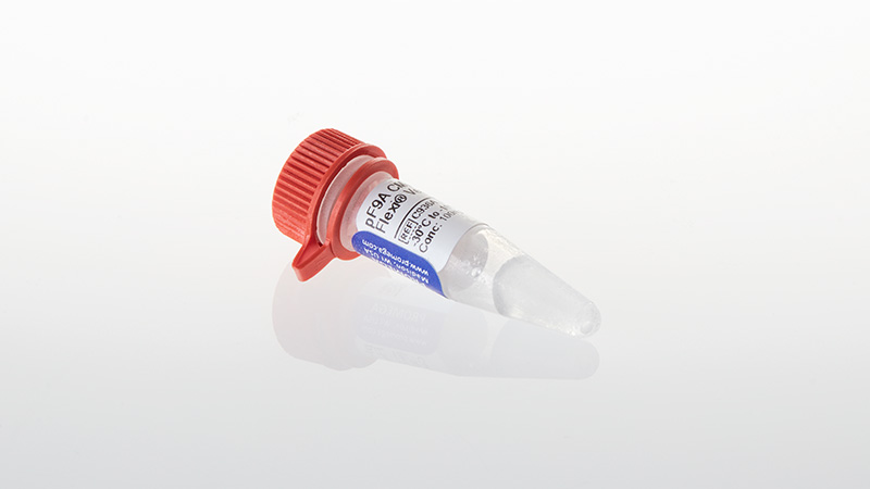 C9361_pF9A-CMV-hRluc-neo-Flexi--Vector--20ug_3