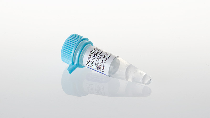 その他 DMA Lamda Unmethylated Lambda DNA