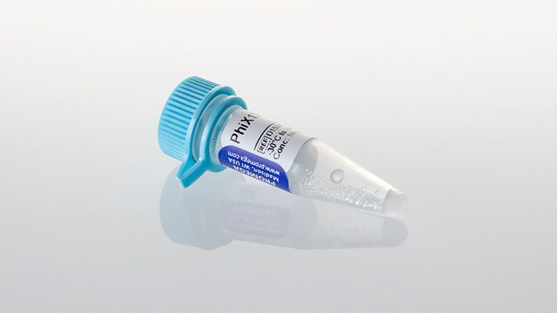 PhiX174, RF DNA