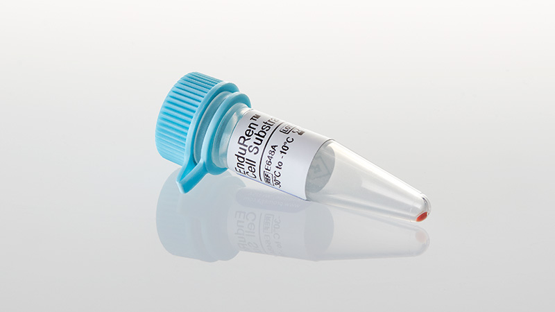 E6481_EnduRen--Live-Cell-Substrate--0-34mg_3