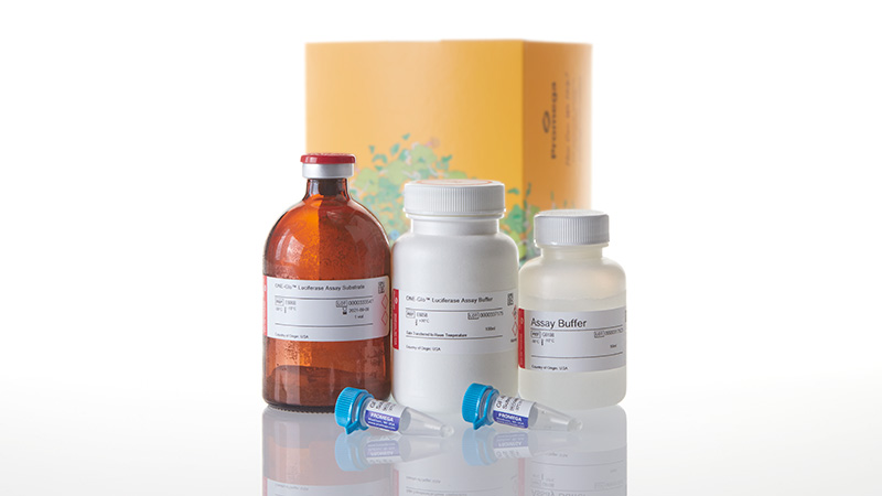 E7120_ONE-Glo----Tox-Luciferase---Cell-Viab_3