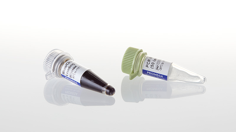 G3161_PCR-Marker--250ul--50-lanes-_3