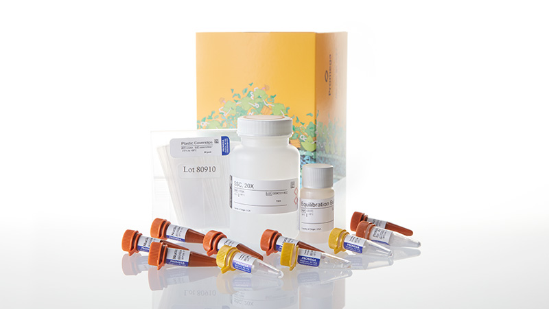 G3250_DeadEnd--Fluorometric-TUNEL-Sys--60-rxn_3