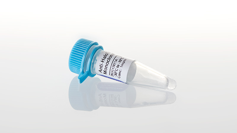 T−FAL CY8521JP Anti-HaloTag® Monoclonal Antibody