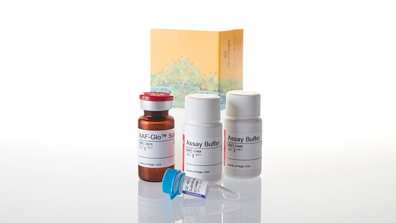 MultiTox-Glo Multiplex Cytotoxicity Assay