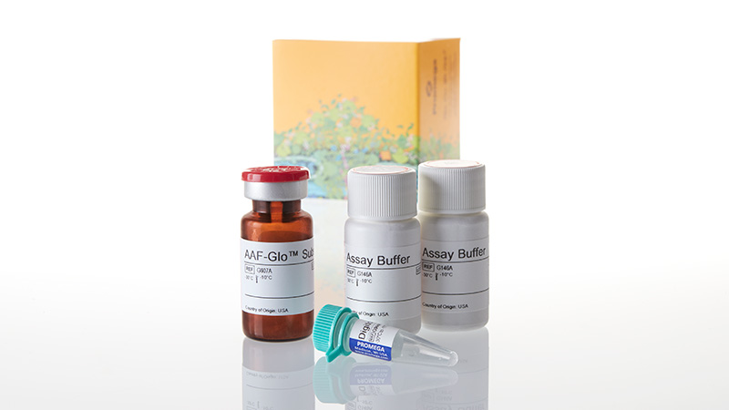 CytoTox-Glo™ Cytotoxicity Assay