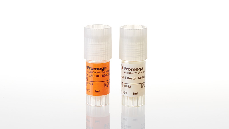 TIGIT/CD155 Blockade Bioassay