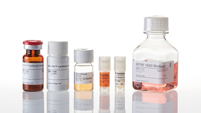 TIGIT/CD155 Blockade Bioassay