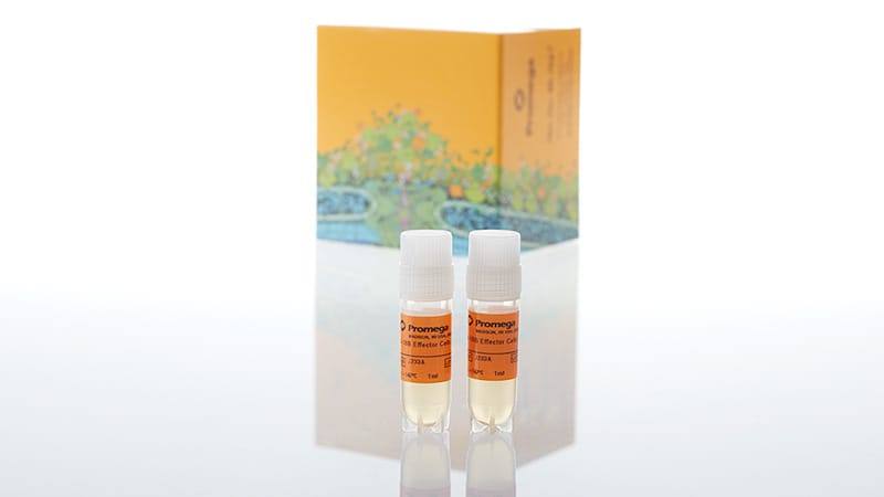 J2332_4-1BB-Bioassay--Propagation-Model_3