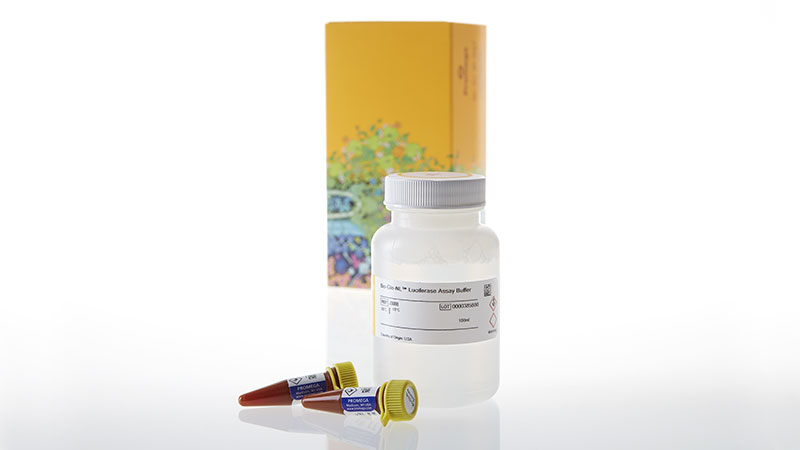 J3083-_Bio-Glo-NL--Luciferase-Assay-System--10x100ml_3