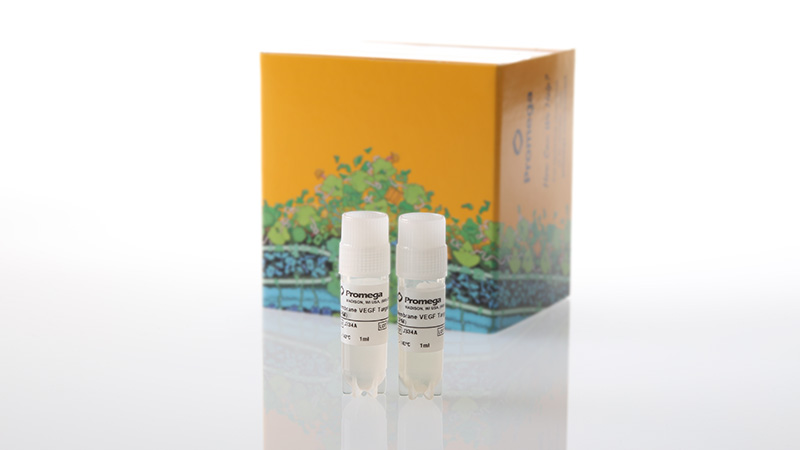 Membrane VEGF Target Cells