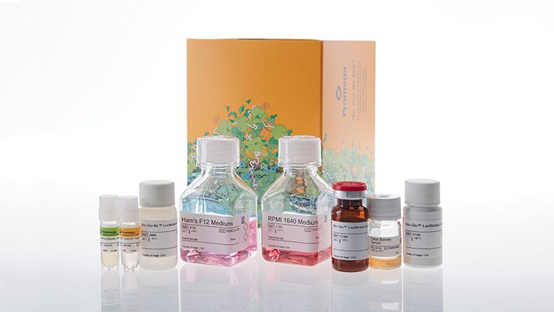 ja4801-sirpa-cd47-blockade-bioassay-kit-fc-dependent-3