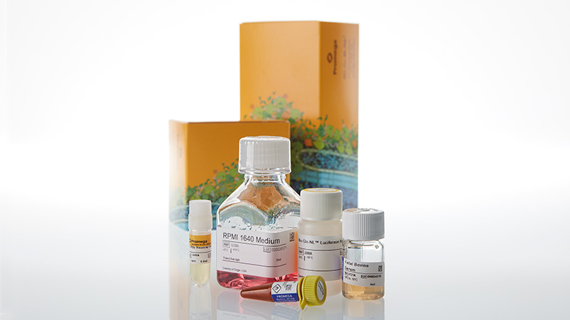 IL-2Rβγ Bioassay