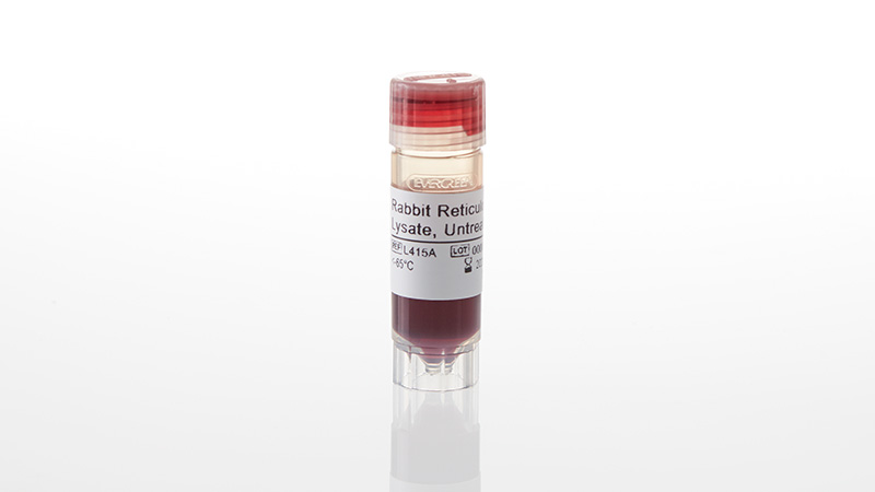 L4151_Rabbit-Reticulocyte-Lysate--Untreated_3