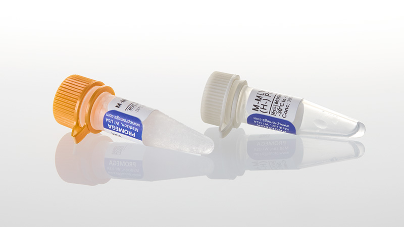 M-MLV Reverse Transcriptase, RNase H Minus, Point Mutant