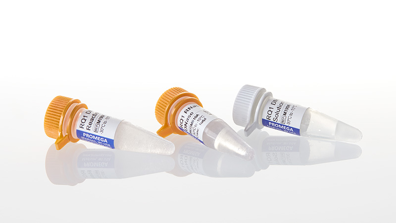 M6101_RQ1-RNase-Free-DNase--1-000u_3