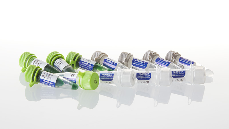 GoTaq® Flexi DNA Polymerase
