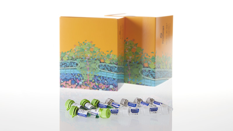 GoTaq® Flexi DNA Polymerase