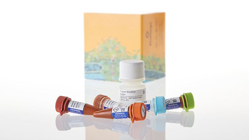 N2130_NanoBRET Target Engagement BET BRD Assays